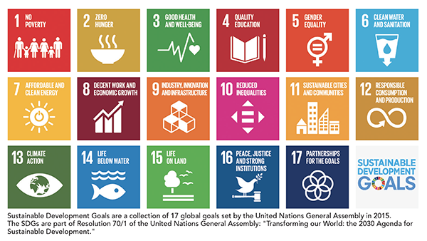 UN Goals