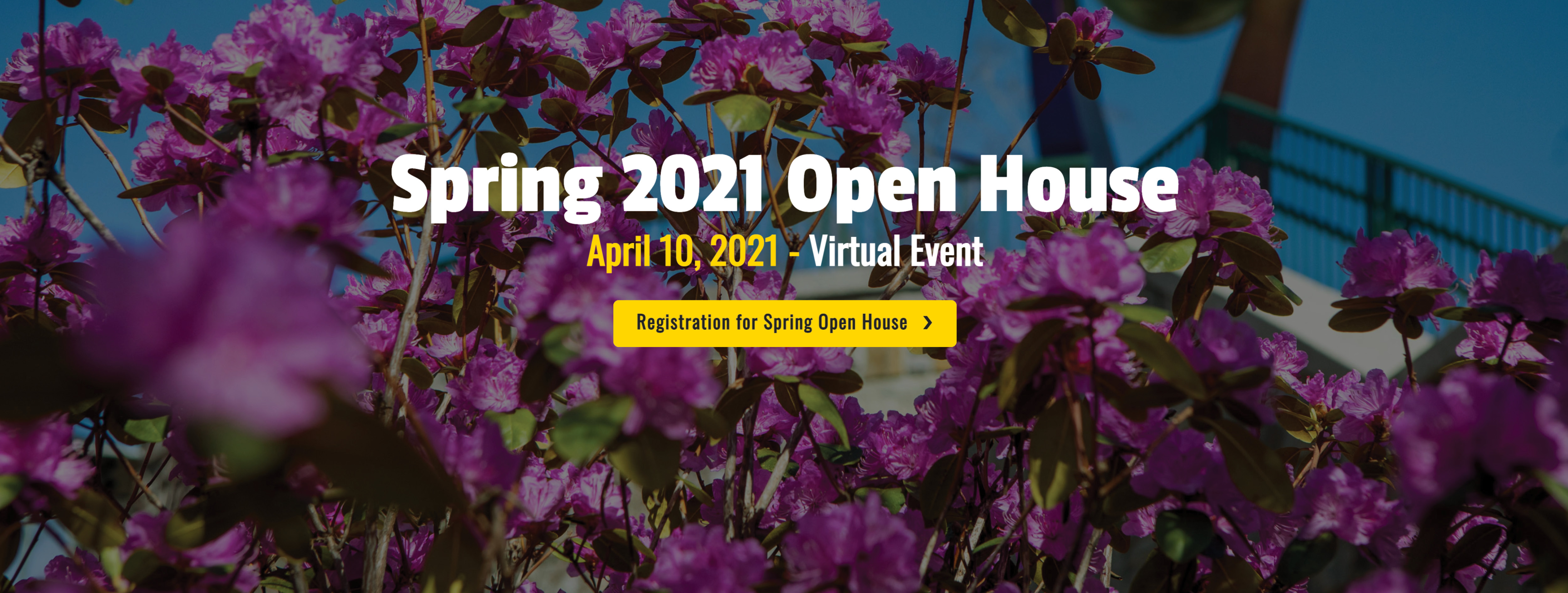 Spring 2021 Virtual Open House - Office of Admissions