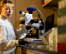 Biology graduate student Haley Martin ’23 ’25 conducts research on fruit flies. 