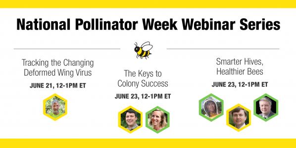 Walker College Professors to highlight new research on key honey bee health issues as part of National Pollinator Week 