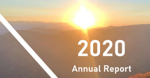 Bowden Investment Group releases 2020 annual report