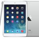 iPad mini