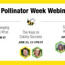 Walker College Professors to highlight new research on key honey bee health issues as part of National Pollinator Week 