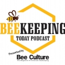 World Bee Count with James Wilkes and Joseph Cazier