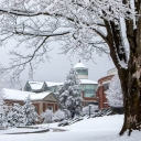 A heavy snowfall blankets the campus of Appalachian State University