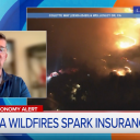 In the News: Brantley Center director discusses insurance challenges as wildfires burn