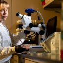 Biology graduate student Haley Martin ’23 ’25 conducts research on fruit flies. 