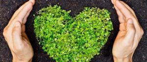 Green cover Create mechanisms for initiating ecological solutions - weerapatkiatdumrong