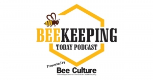World Bee Count with James Wilkes and Joseph Cazier