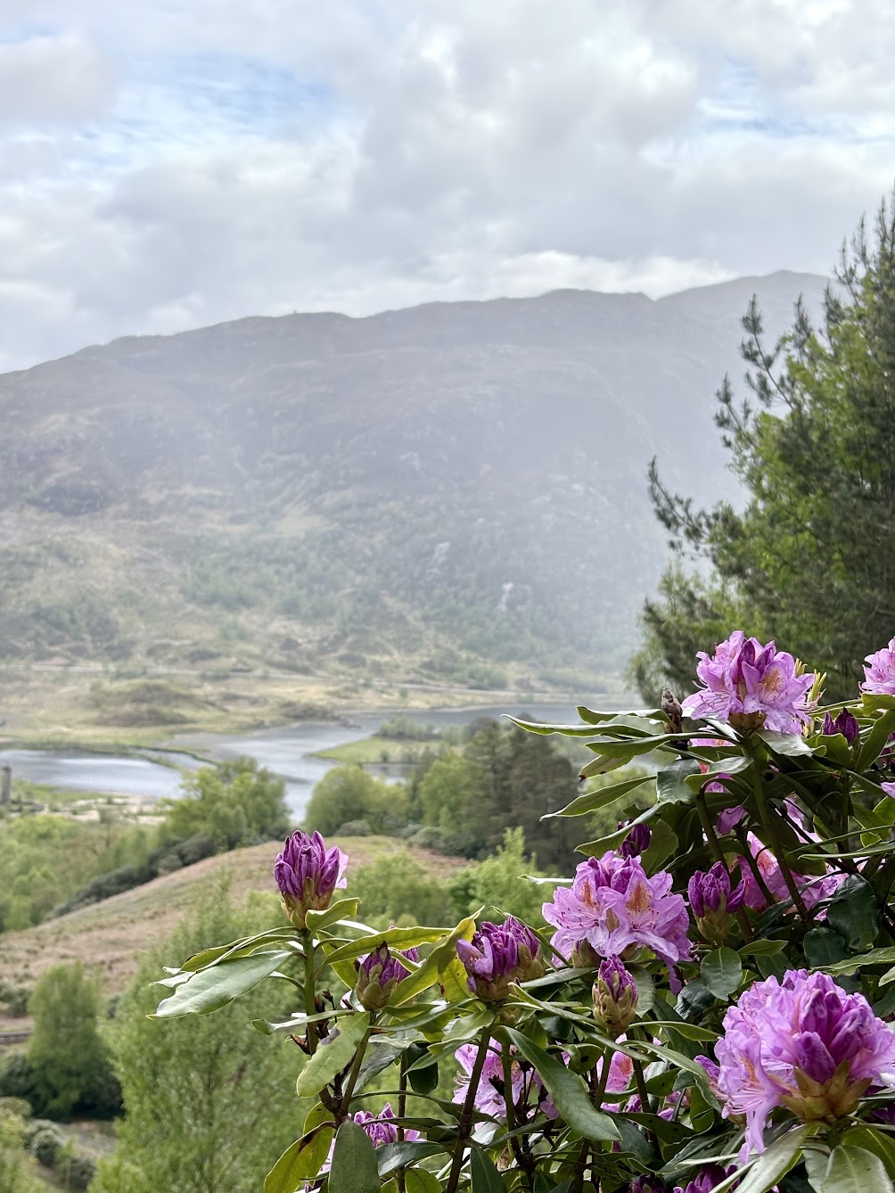 MBA Student Clarice Cook was honored for her photo from Glenfinnan, Scotland.