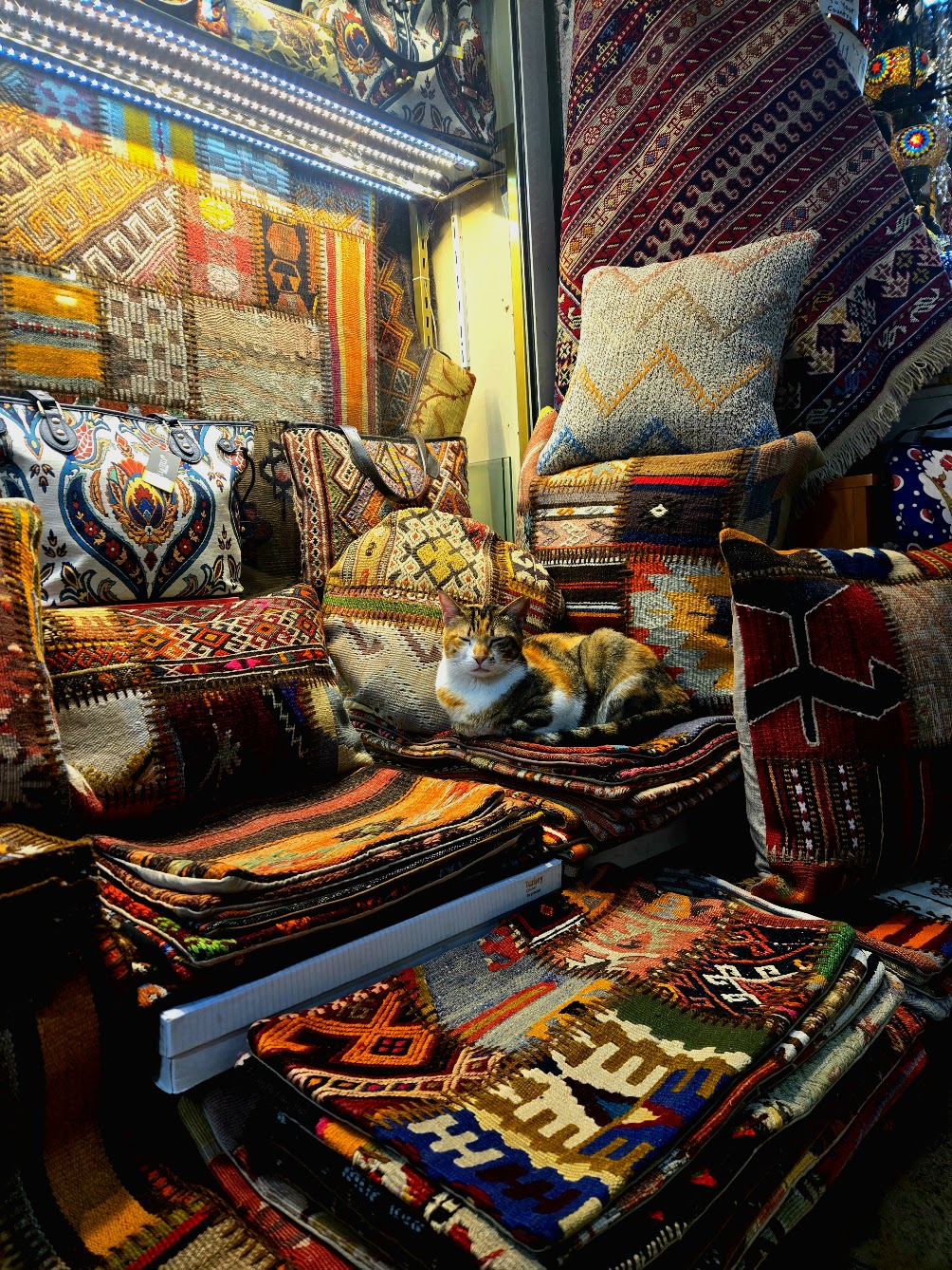 Tayden Sikorsk earned second place for her photo from Istanbul, Turkey.